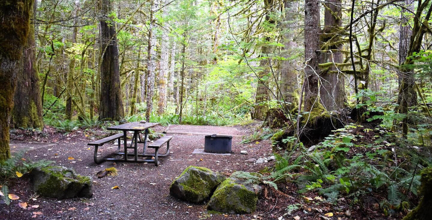 trans camp 3! july 1-5 2023