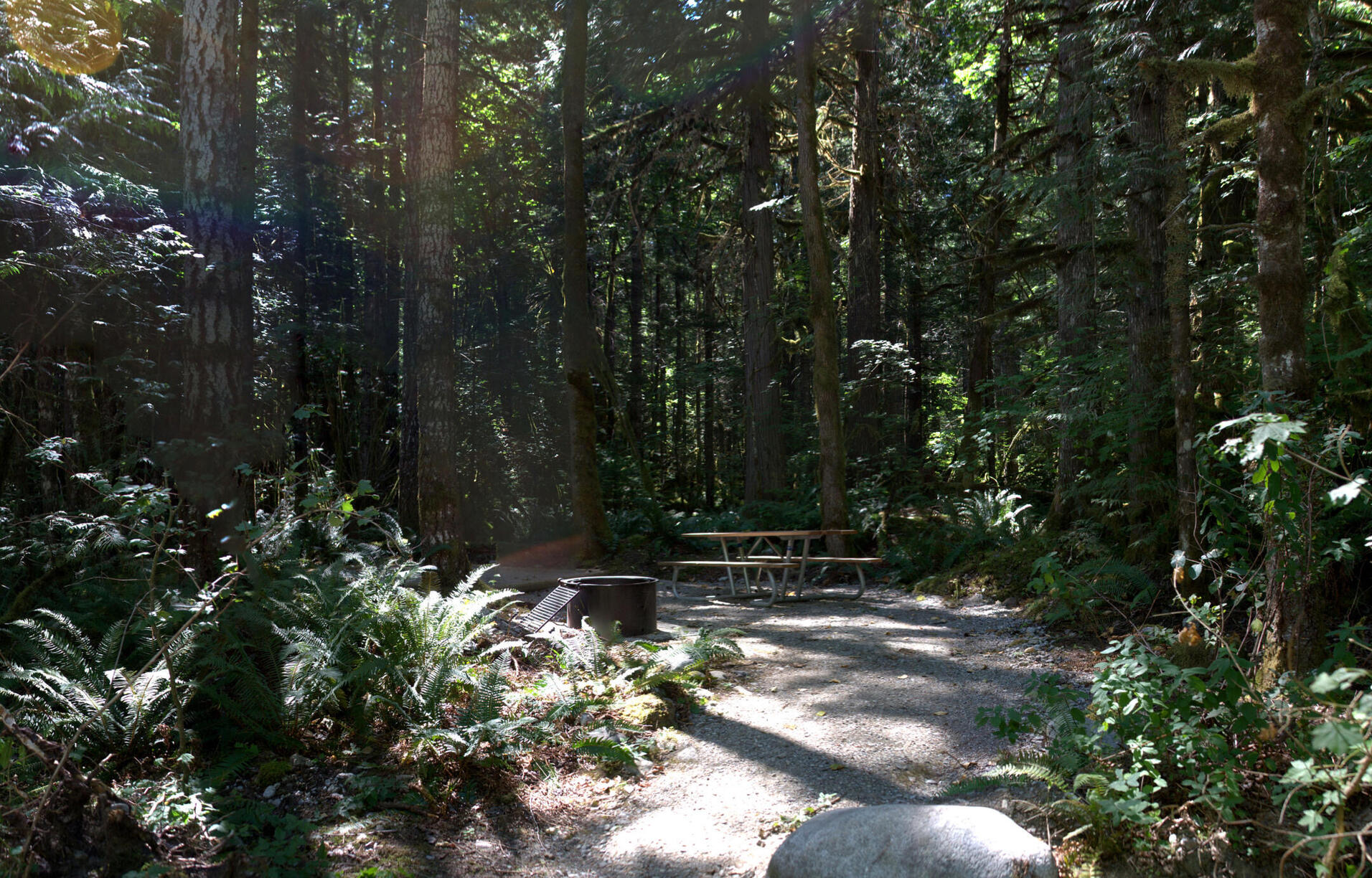 trans camp 3! july 1-5 2023